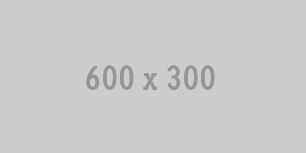 600x300 Sfso
